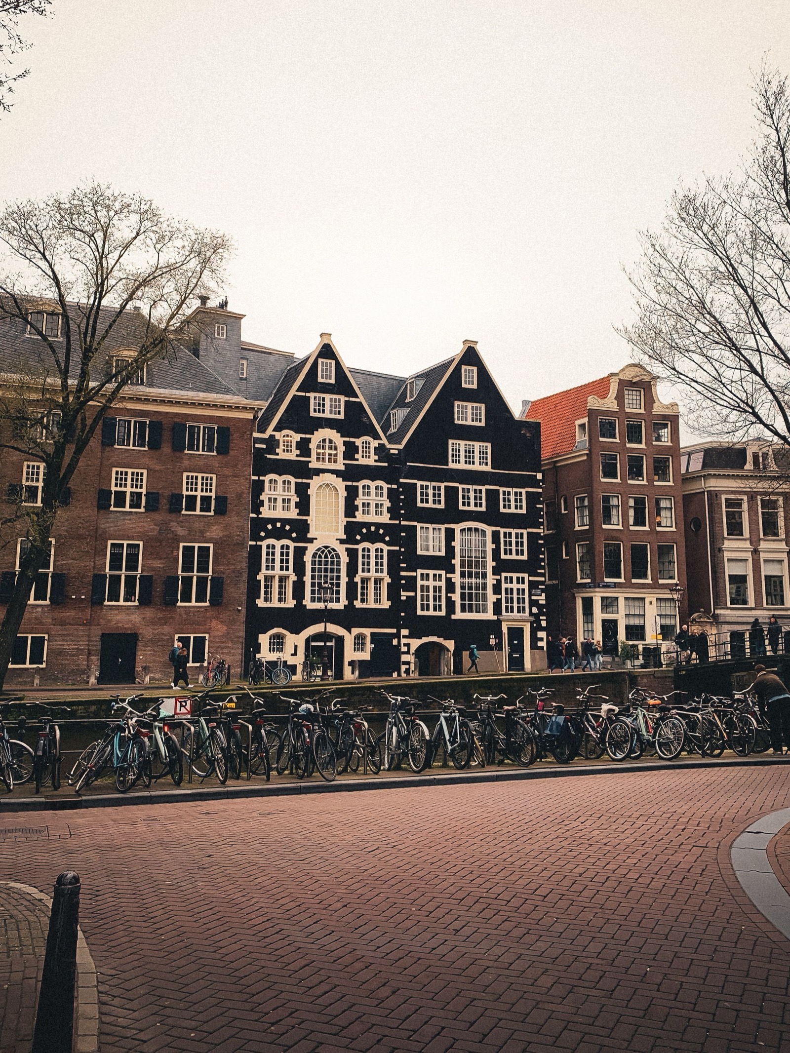 Zwarte en witte grachtenpanden met een rij geparkeerde fietsen