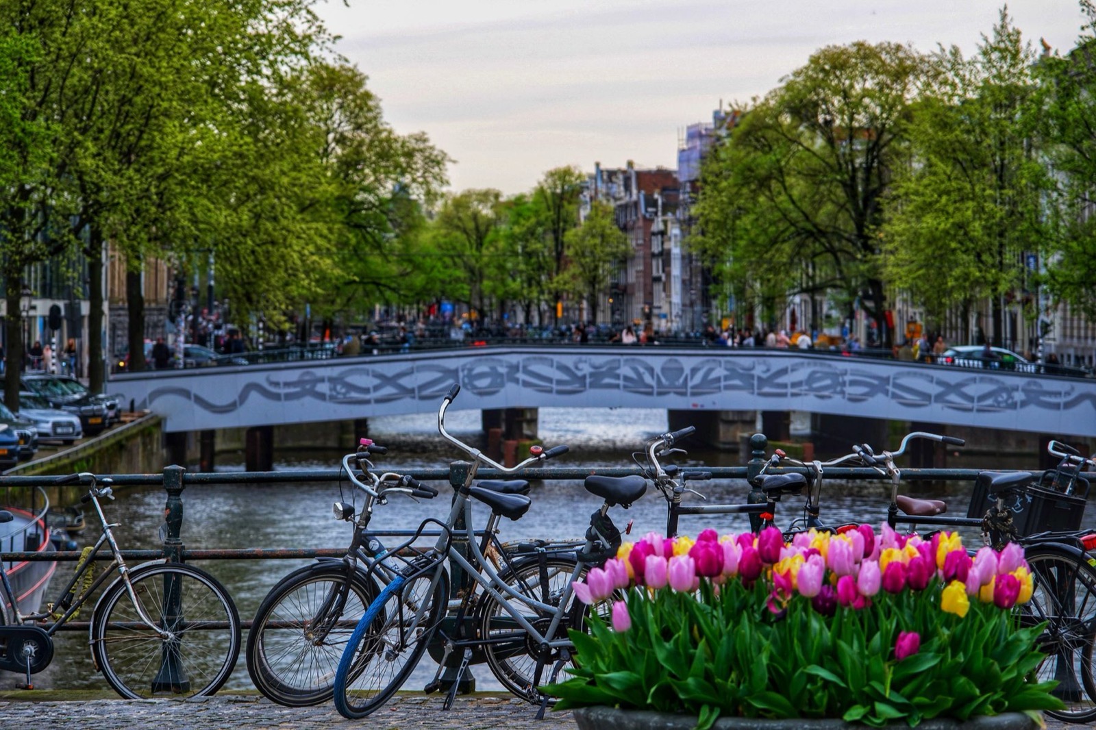 Fietsen en tulpen op een Amsterdamse brug