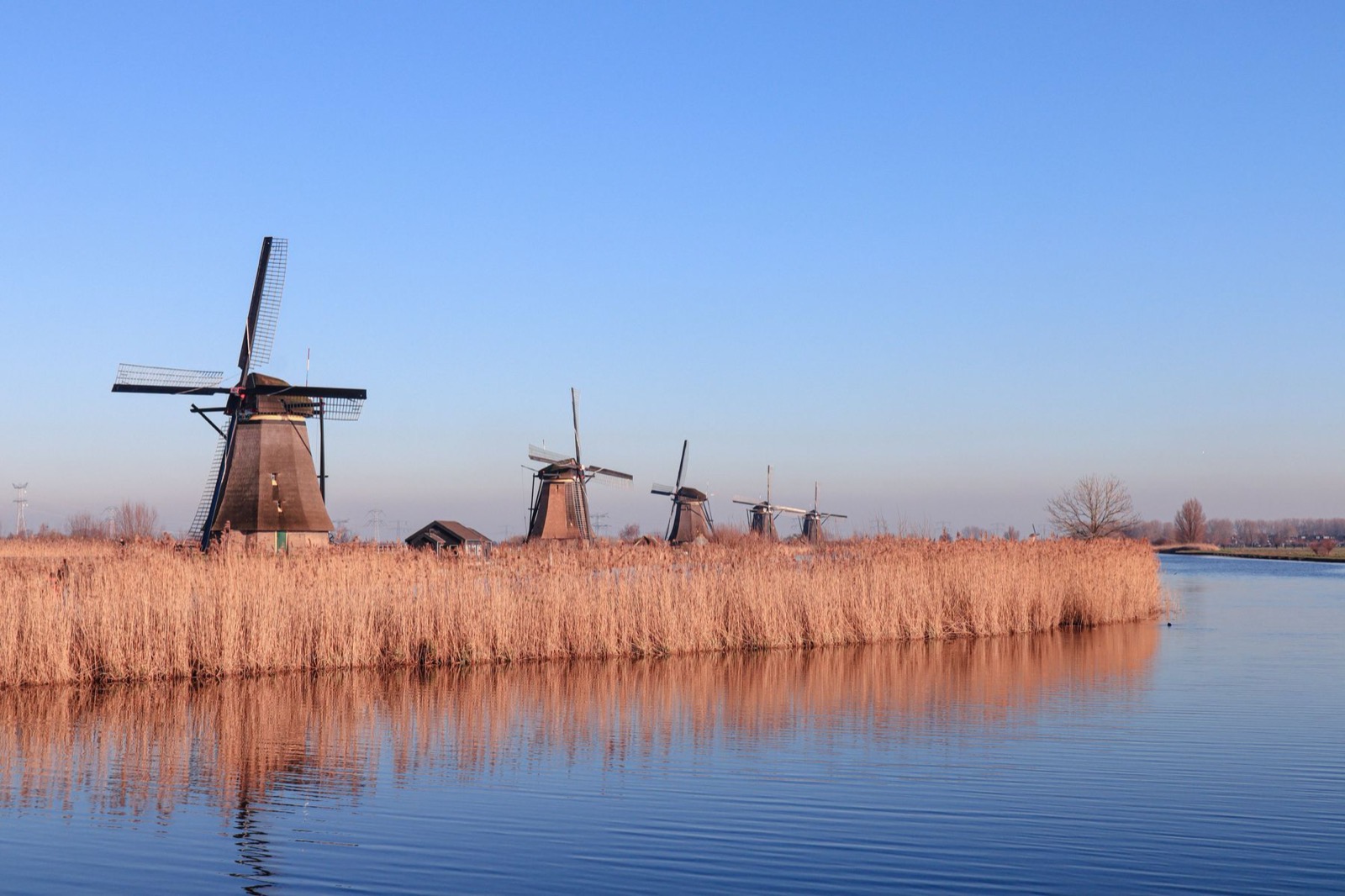 Molens weerspiegeld in stil polderwater onder een heldere winterlucht