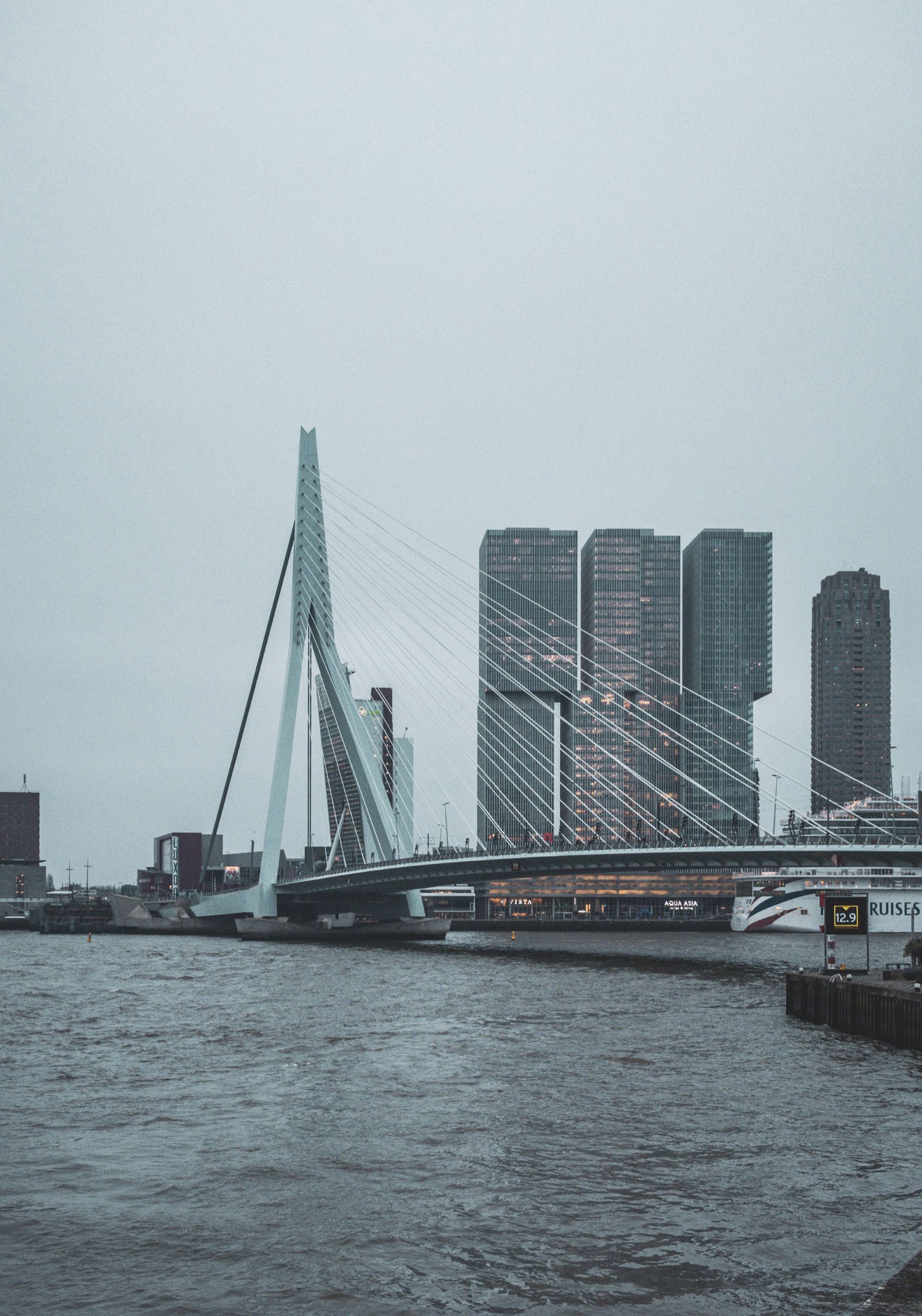 Erasmusbrug en hoge woontorens boven de Nieuwe Maas